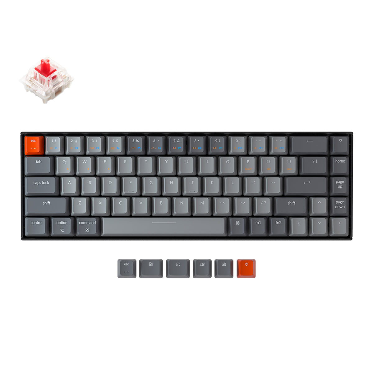 natmiletic's tweet card. Keychron K6 Compact Wireless Mechanical Keyboard. 65% Layout. Wireless or Wired. Users can hot swap every switch in seconds with the hot-swappable version. Compatible with Mac, Windows, iOS, Android,...