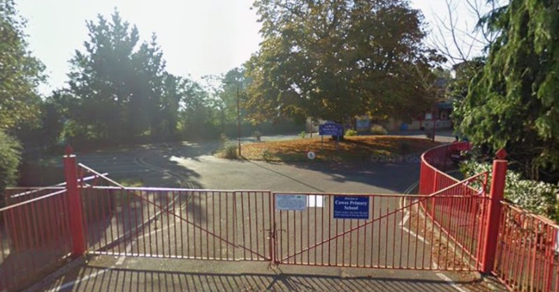 Tweet card summary image