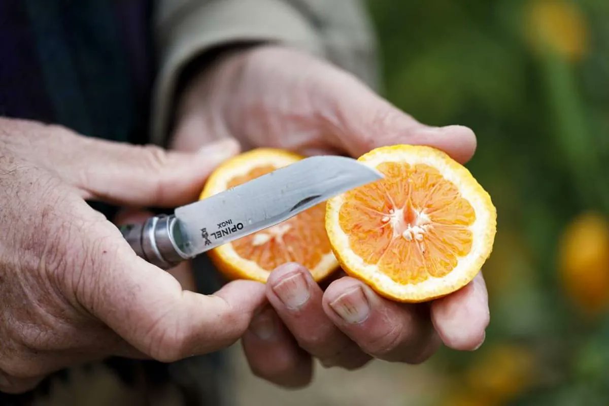 periku's tweet card. Una alimentación saludable no se limita solo al equilibrio de carbohidratos, proteínas, grasas, vitaminas y sales minerales. El recorrido del alimento, desde su producción hasta...