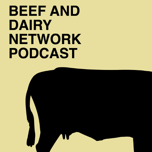 beefanddairy's tweet card. Matthew Crosby, Tom Burgess, Gemma Arrowsmith and Linnea Sage join in for this episode as we hear about the latest developments from St Catherine’s church.