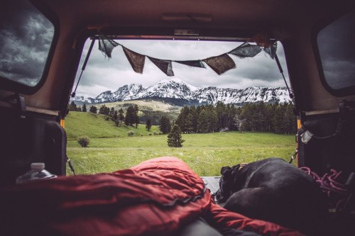 plainlazyhq's tweet card. an-adventurers: “ van life ” More van appreciation here at Plain Lazy HQ - we love waking up in a van, kicking open the doors right where the action will happen