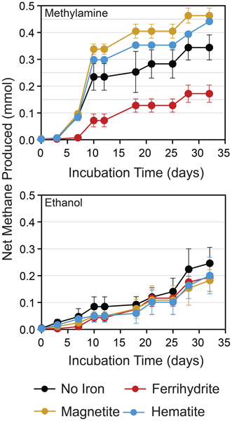MethaneNet's tweet card. Abstract. Salt marshes can emit significant methane to the atmosphere. These emissions are highly variable, but the cause of this variability is not well understood. Although methanogenesis should be...