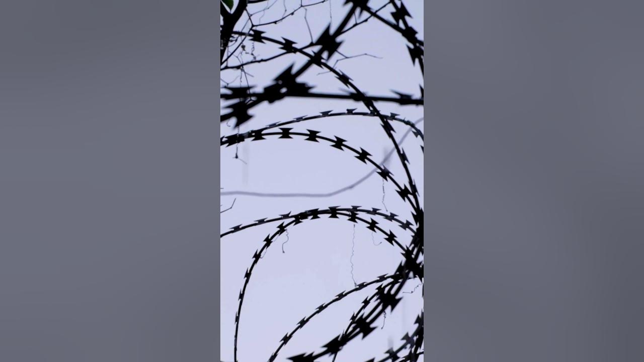 her_majestic1's tweet card. He Took “Hit 1” a Little Too Seriously 😂 #funnyshorts #LiteralHumor...