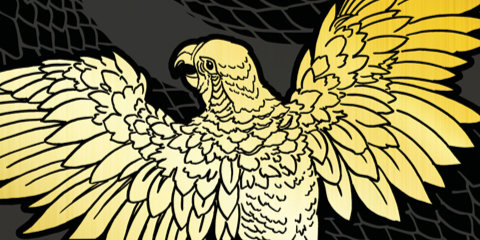 DunaLlibres's tweet card. Estrena internacional de Brandon Sanderson també en català!