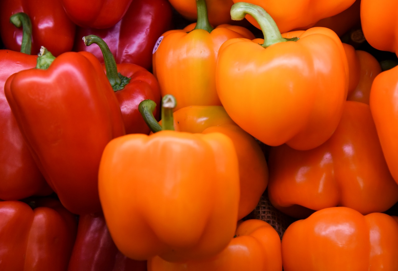 michiganalumni's tweet card. Jackson resident Jacob Inosencio founded Grow Jackson about seven months ago.