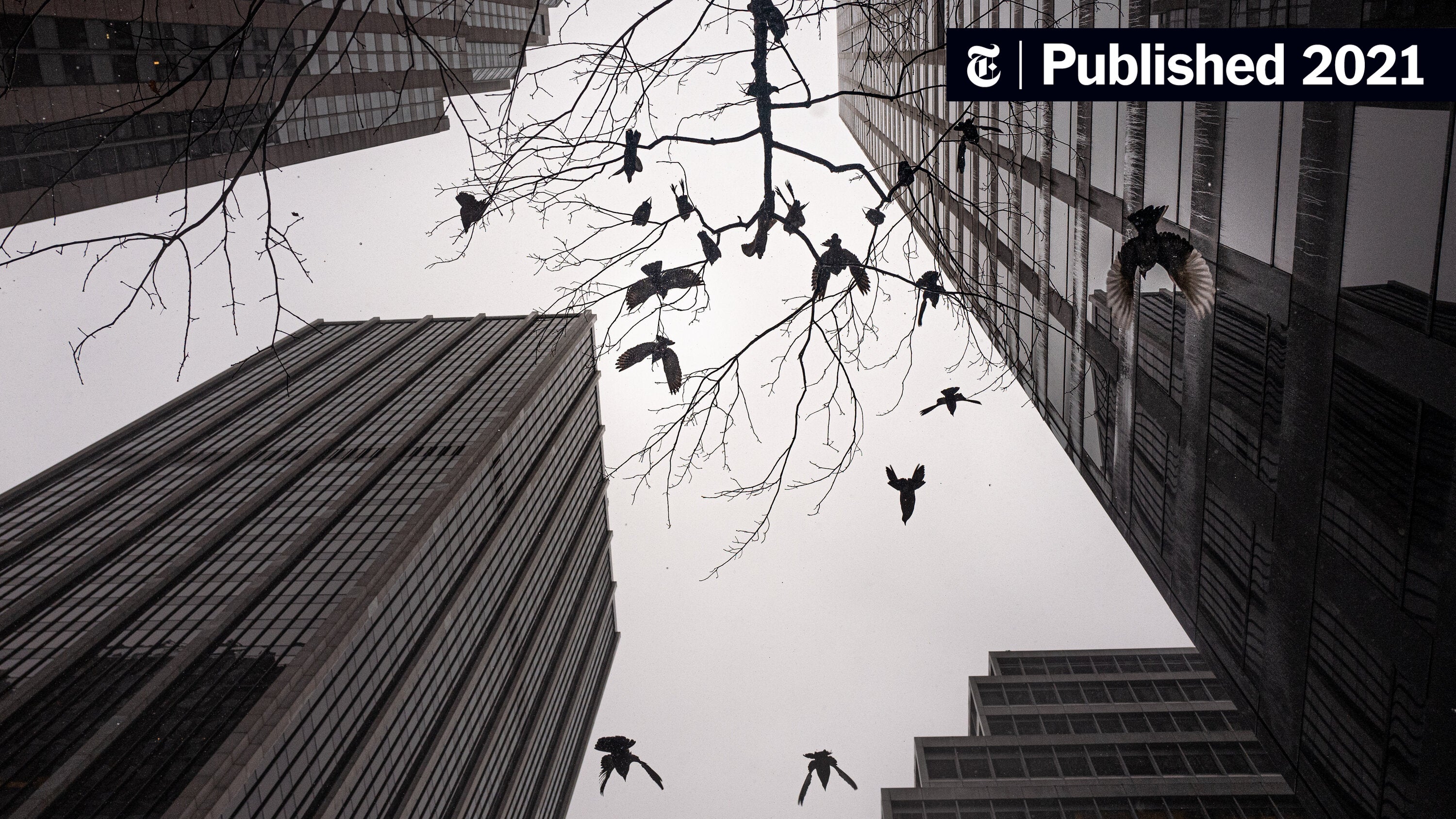 googies97's tweet card. New York City, long buoyed by the flow of commuters into its towering office buildings, faces a cataclysmic challenge, even when the pandemic ends.