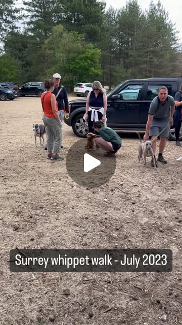 bluesoup's tweet card. Jett and Mike (@surreywhippets) • Instagram reel