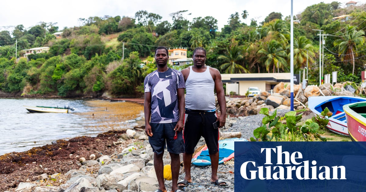 SeafieldsSL's tweet card. As the climate heats up, Grenada’s beaches have become swamped with rotting sargassum. But biotech can turn it into fuel, fertiliser and plastic