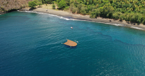 SeafieldsSL's tweet card. Seafields CEO and co-founder, John Auckland, opens up about attracting support from Coldplay, lessons he has learned from open-ocean carbon removal, and the importance of regional partnerships in...