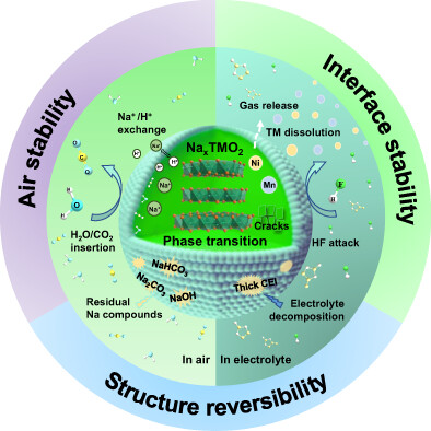 ChaoyiInfoMat6's tweet card. Recent progress in layered oxide cathodes for sodium-ion batteries (SIBs) from air stability, interface chemistry, and phase transition are comprehensively summarized. The intrinsic degradation...
