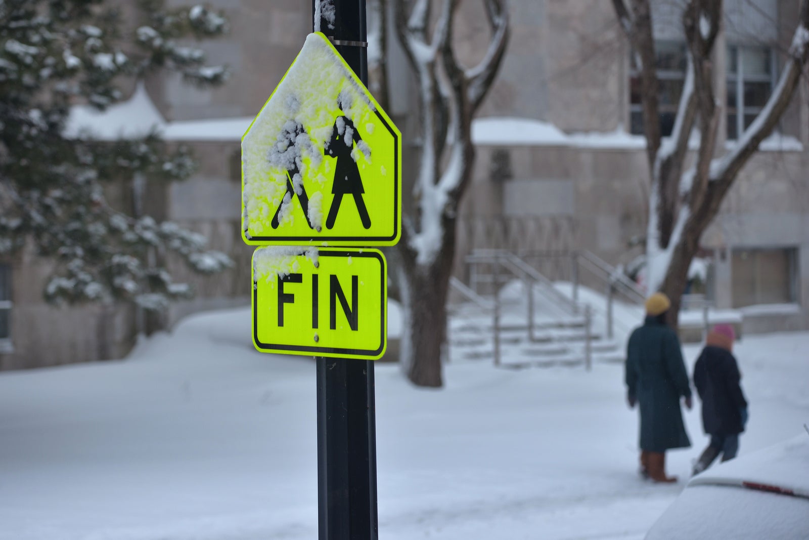 DydierDefaye's tweet card. Plus de 3600 jours de congé ont été pris au CSSDM depuis 2022 dans le cadre de fêtes essentiellement musulmanes.