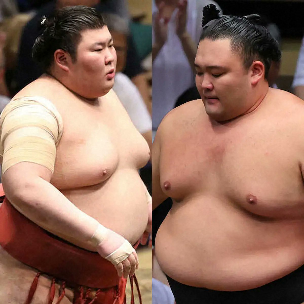 IsegahamaNet's tweet card. 　日本相撲協会は23日、秋場所（東京・両国国技館）千秋楽の取組を発表した。