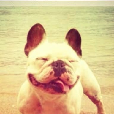 MemoryMachineUK's tweet card. Memory Machine (@memorymachineuk) • Instagram photo