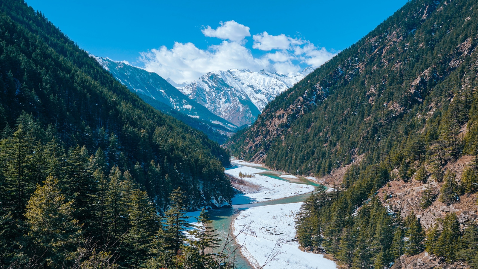 saurabhprashar2's tweet card. Former bureaucrats under the banner of Constitutional Conduct Group highlighted that Himachal Pradesh's forest wealth is valued at Rs 9.95 lakh crore.