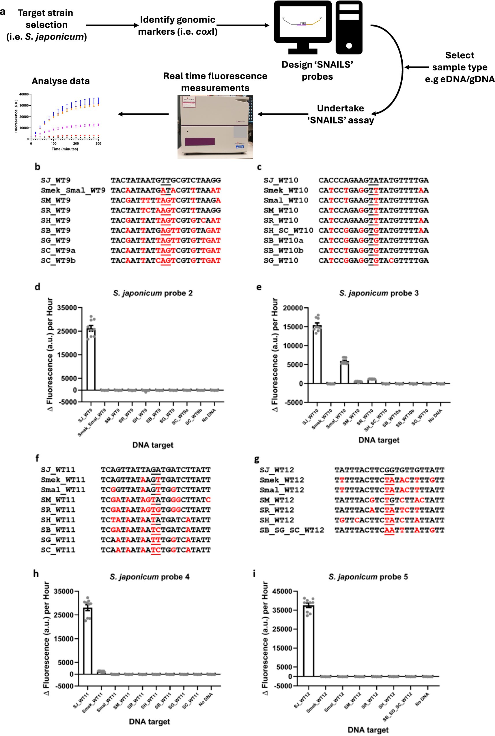 ICStructBio's tweet card. Communications Biology - Development of a DNA-based biosensor technology for the species-specific detection of Schistosoma japonicum, a helminth parasite found in parts of South Asia that causes...