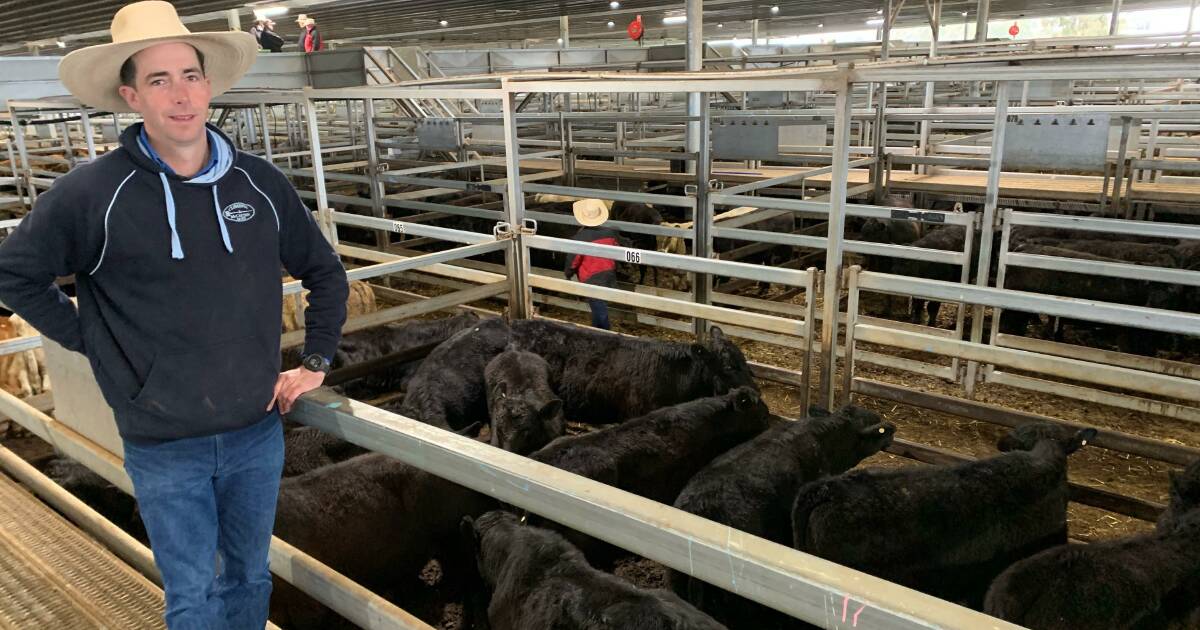 KBaileyMarkets's tweet card. Consumers have not lost their taste for grainfed beef as the number of cattle on feed during the...