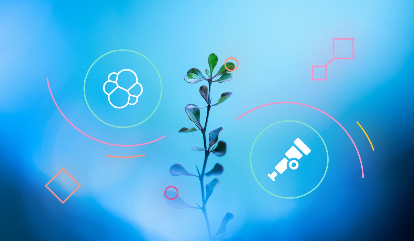 elastic's tweet card. Elastic is advancing the adoption of OpenTelemetry with the contribution of its universal profiling agent. Elastic is committed to ensuring a vendor-agnostic ingestion and collection of observability...