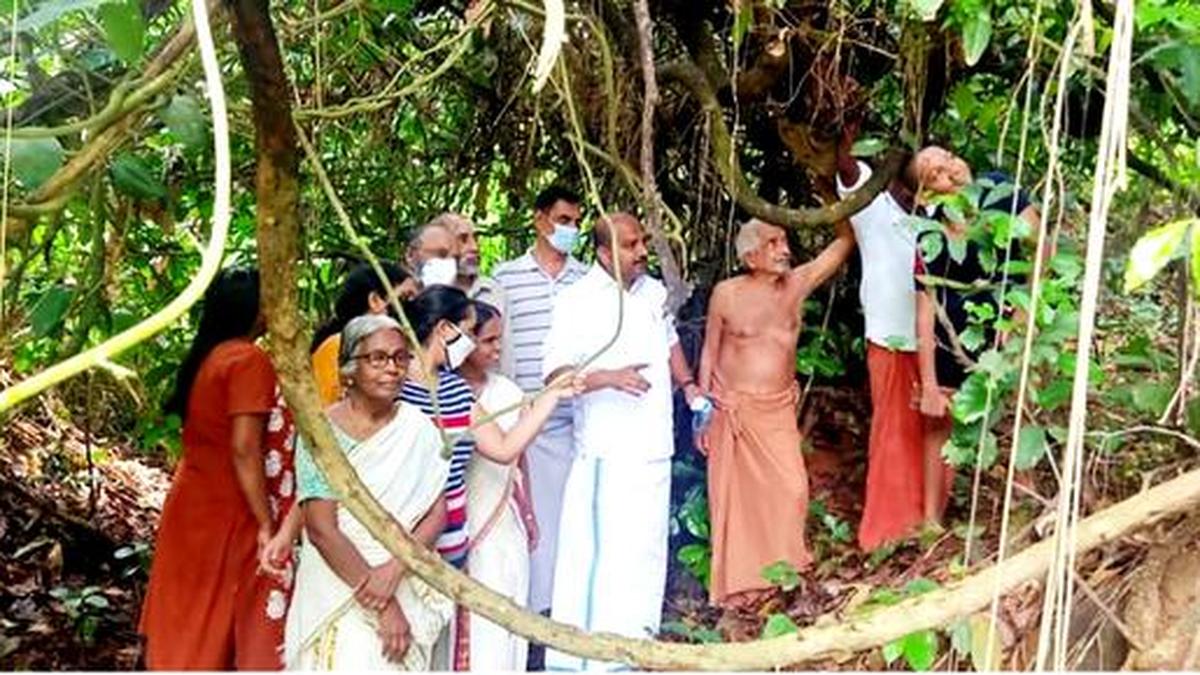 THKerala's tweet card. Drive launched in north division of Pazhoor in Piravom municipality