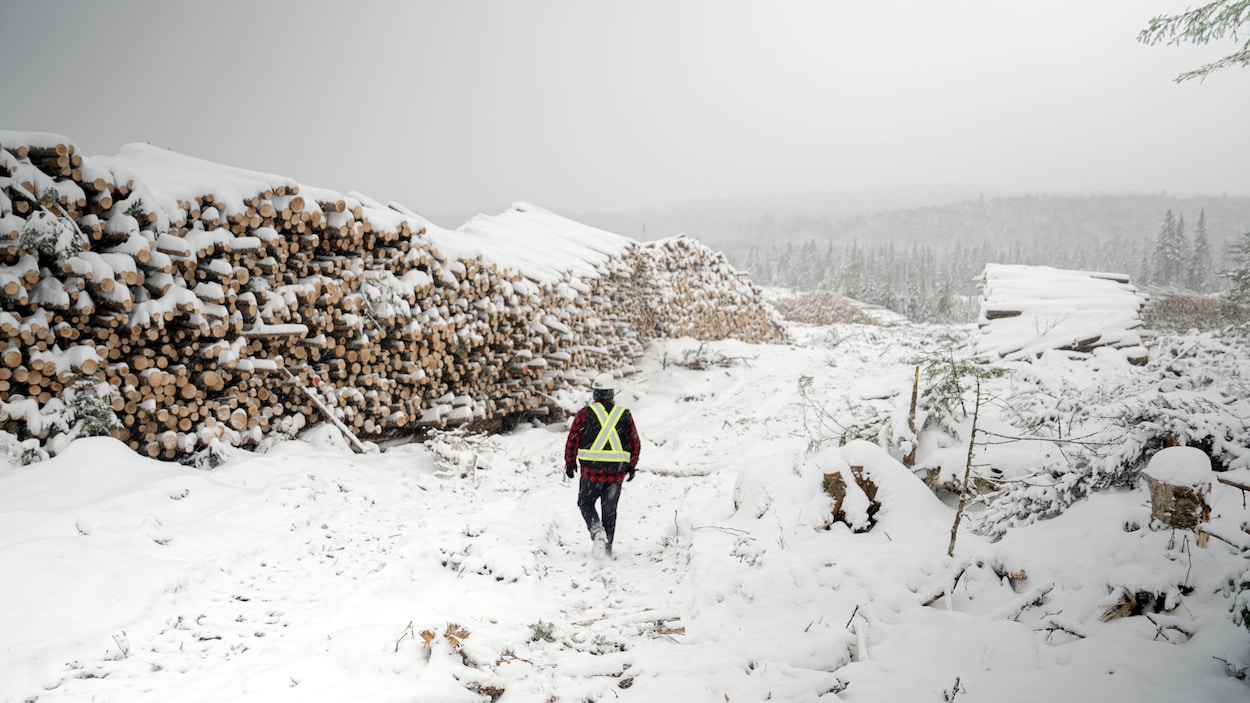 MathieuGohier's tweet card. Des entrepreneurs se sentent abandonnés après les pertes d'emplois massives évoquées par le premier ministre et l'abandon de la réforme du régime forestier.