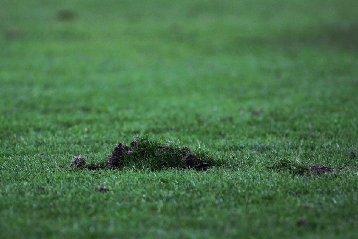 voetbalbelgie's tweet card. PSV won met 0-4 op bezoek bij PEC Zwolle. Tien minuten voor affluiten viel Noah...