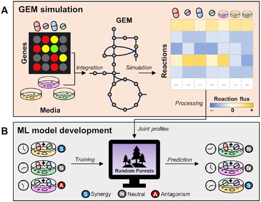 sriram_lab's tweet card. Abstract. Drug combinations are a promising strategy to counter antibiotic resistance. However, current experimental and computational approaches do not ac