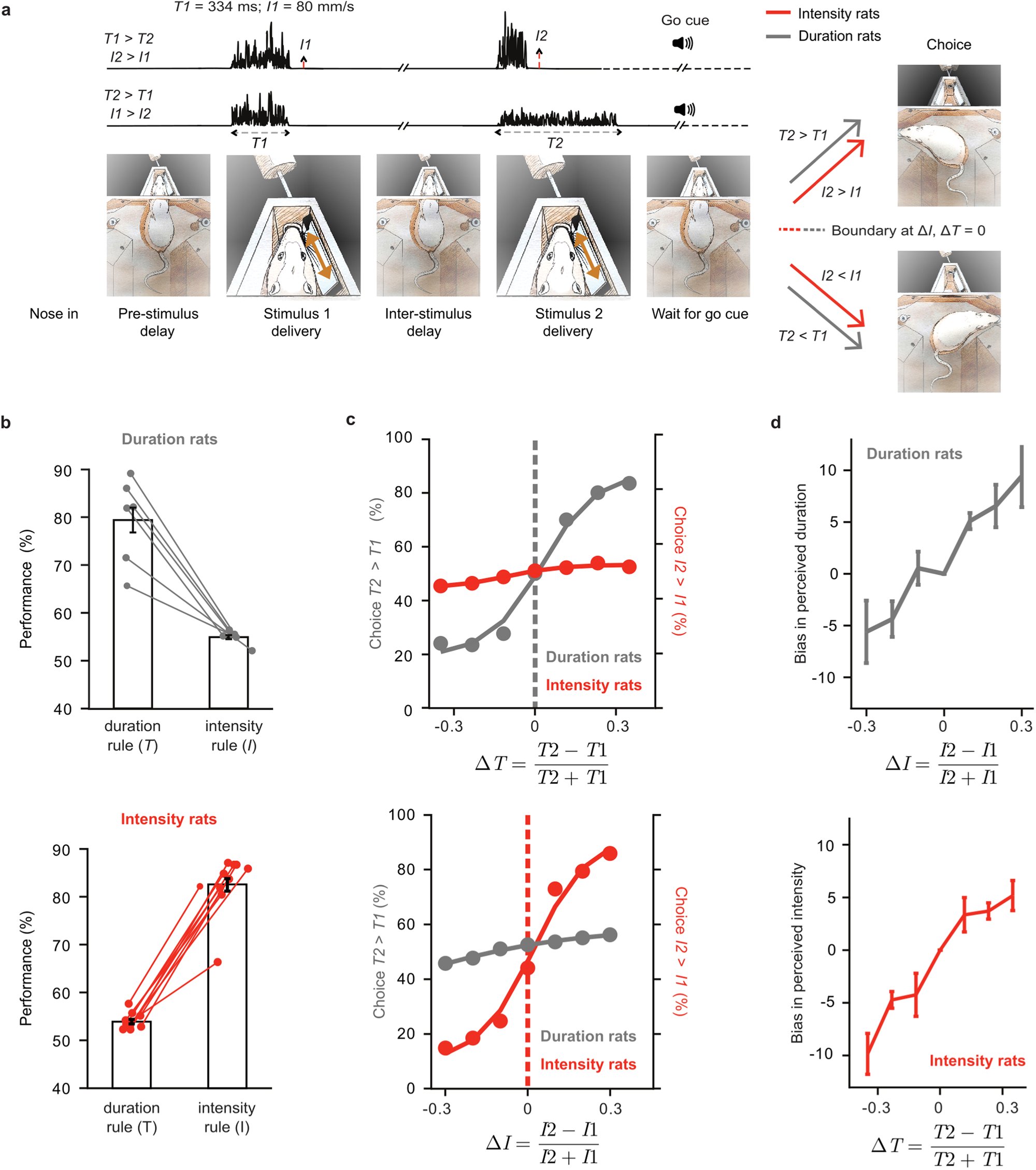 tania_barkat's tweet card. Nature Communications - The neural substrates of time perception are still unclear. Here, the authors show that as rats judged tactile stimuli, optogenetic manipulation of somatosensory cortex...