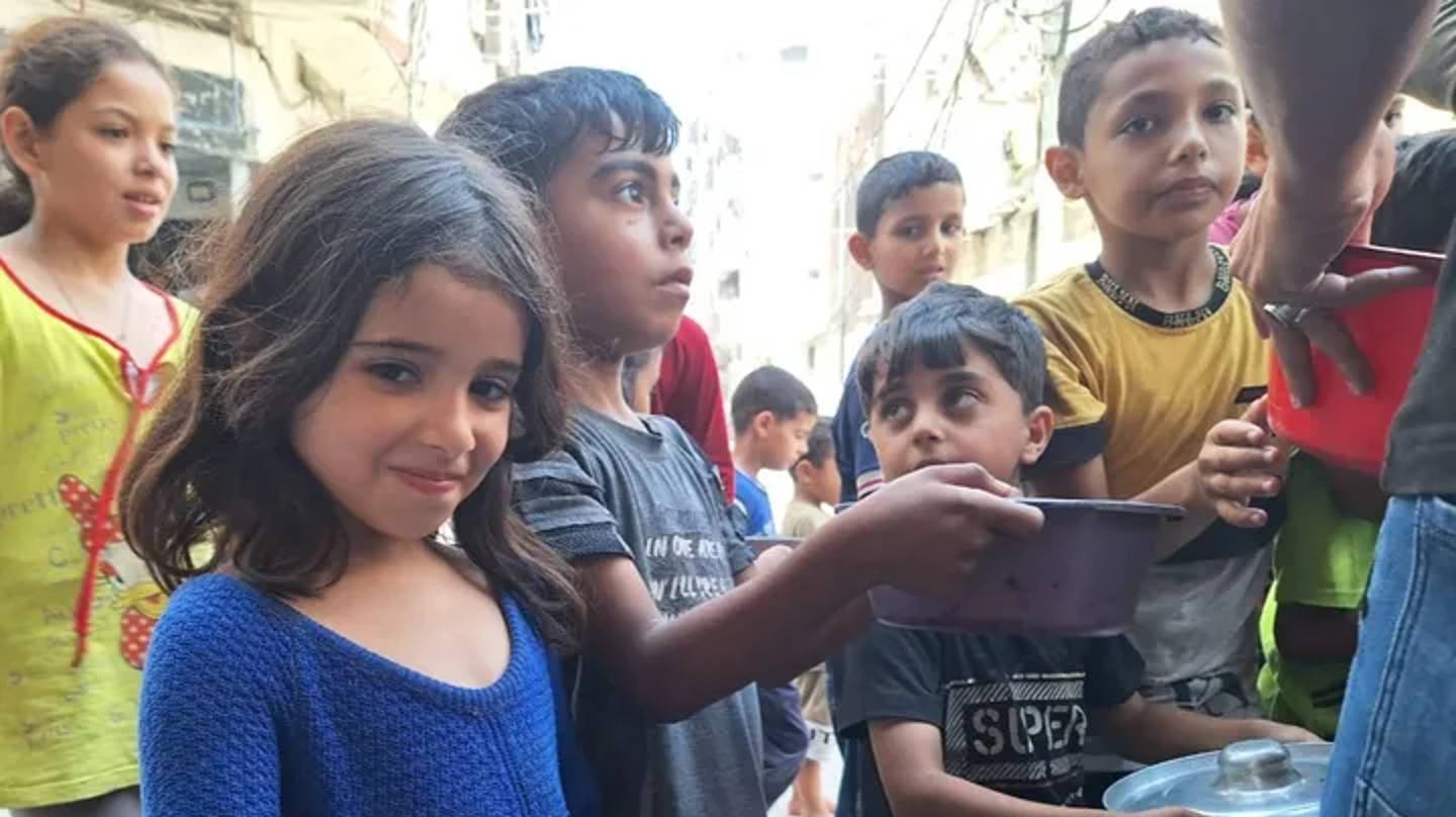 LoverHomeless's tweet card. Hi! I'm Victoria, and I'm running this fundraiser to support my friends in Northern Gaza—Walid, Amjad, Abood, and Mo, who was previously further South. They founded the 'Cruelty-Free Meals for North...