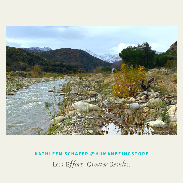 LeadConn's tweet card. Silence, Inspiration and Mindful Connection are Essential Leadership Practices Since the beginning of the Coronavirus Pandemic I’ve been hosting daily sessions with people from throughout the country...