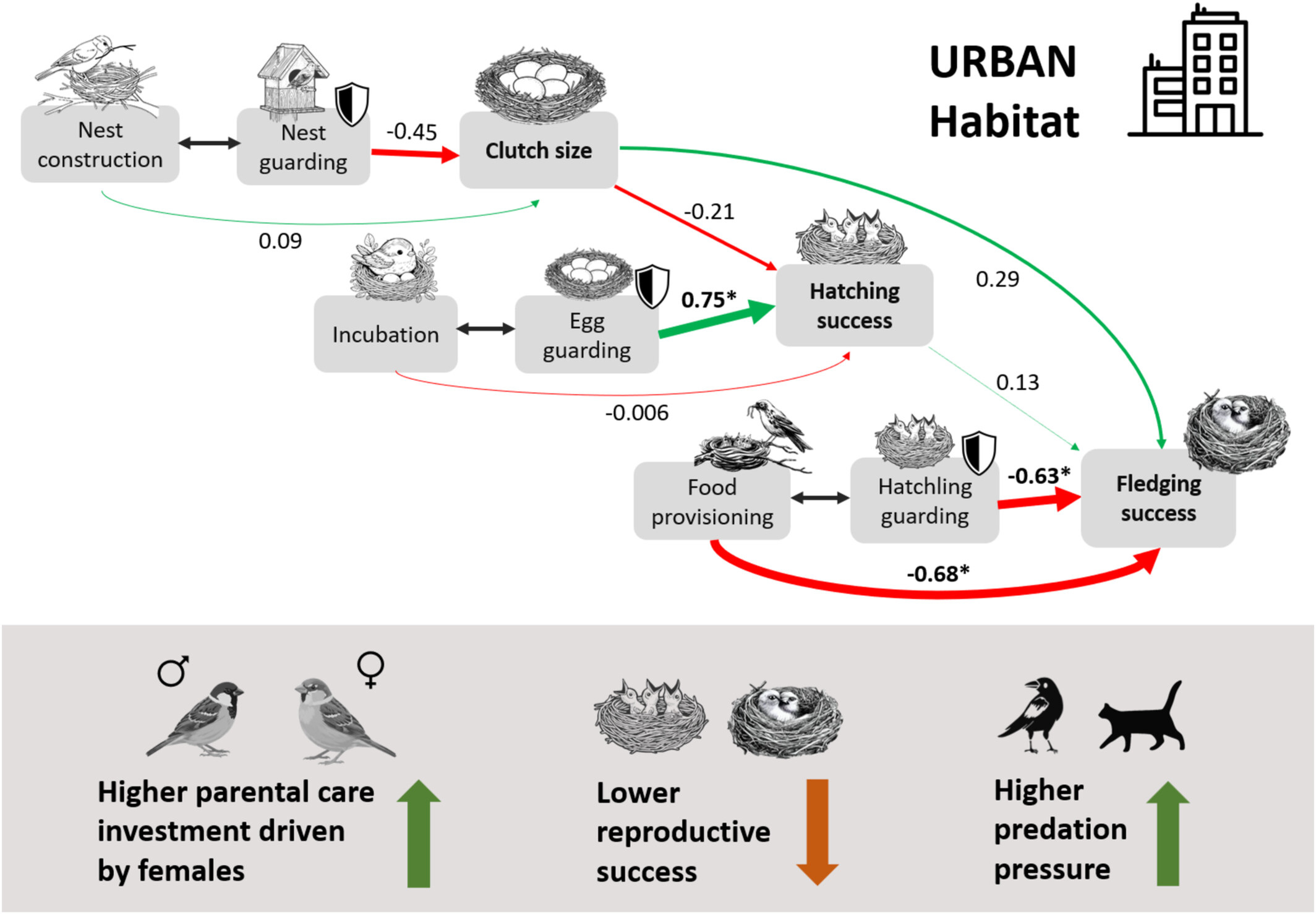 TrEE_Lab's tweet card. Our results show that, despite greater female-driven investment in parental care, reproductive success was lower in urban habitats compared to rural habitats. Path analysis revealed a significant...