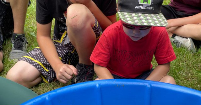 Tweet card summary image