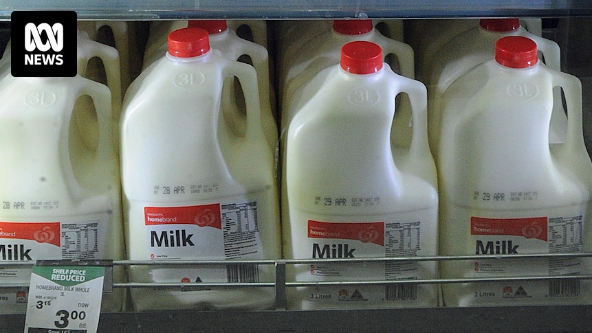 LocalFoodLoop's tweet card. When farmers put out the call to turn our backs on cheap supermarket milk, thousands of Australians followed suit. But many of us have been lured back into buying the less expensive option.