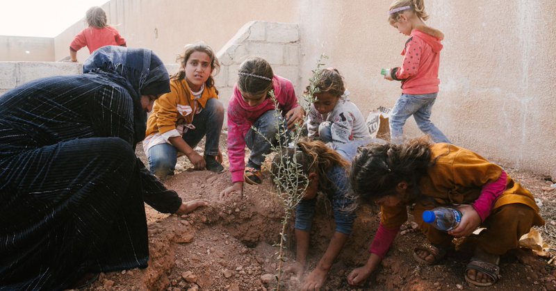 Tweet card summary image