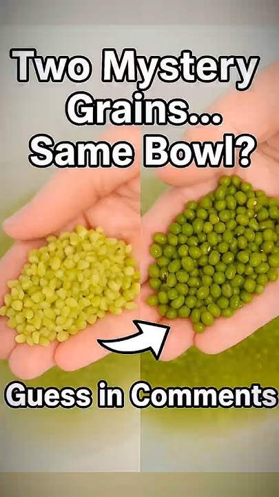 maryamza1993's tweet card. “Looks same? NO! ओळखा👇🌾” #food #health #shorts