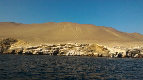 GeekBug's tweet card. #day65 #paracas #islas ballestas #sea lion #pelican #penguin #atw75 #lola