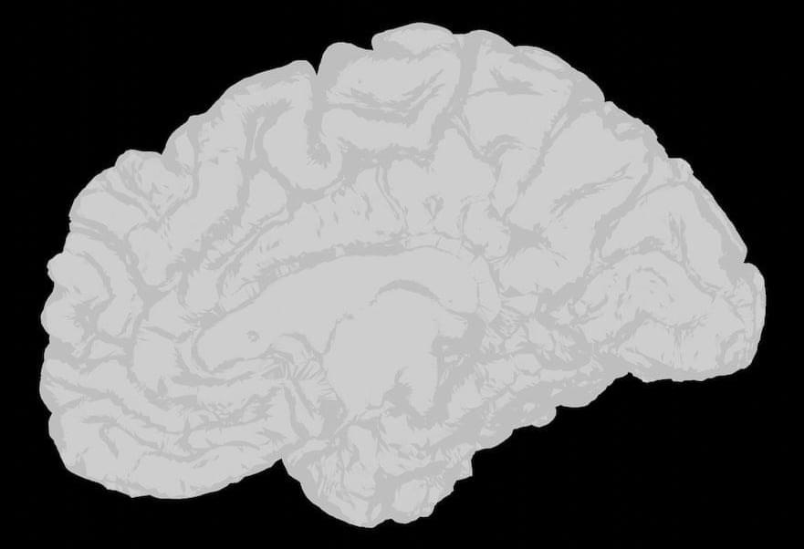 LifeboatHQ's tweet card. This herculean effort could help scientists unravel the causes of neurodevelopmental disorders. In one study, led by Arnold Kriegstein at the University of California, San Francisco, scientists found...