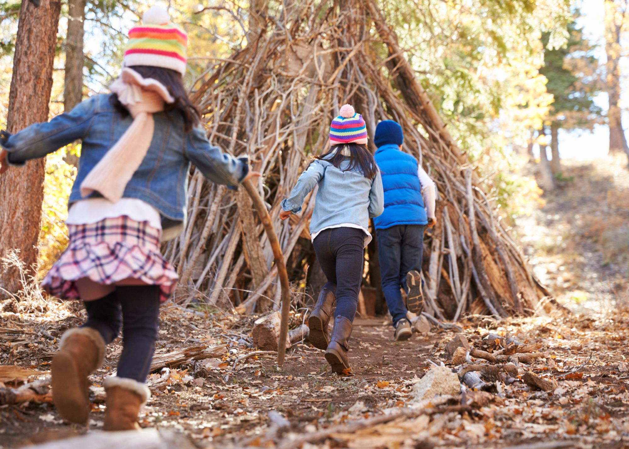 TiNi24de's tweet card. Ostholstein. Vom 20. bis 30. Oktober 2025 laden die Stiftungen der Sparkasse Holstein wieder zu einem abwechslungsreichen Herbstferienprogramm an ihren vier außerschulischen Lernorten ein. Kinder ab...