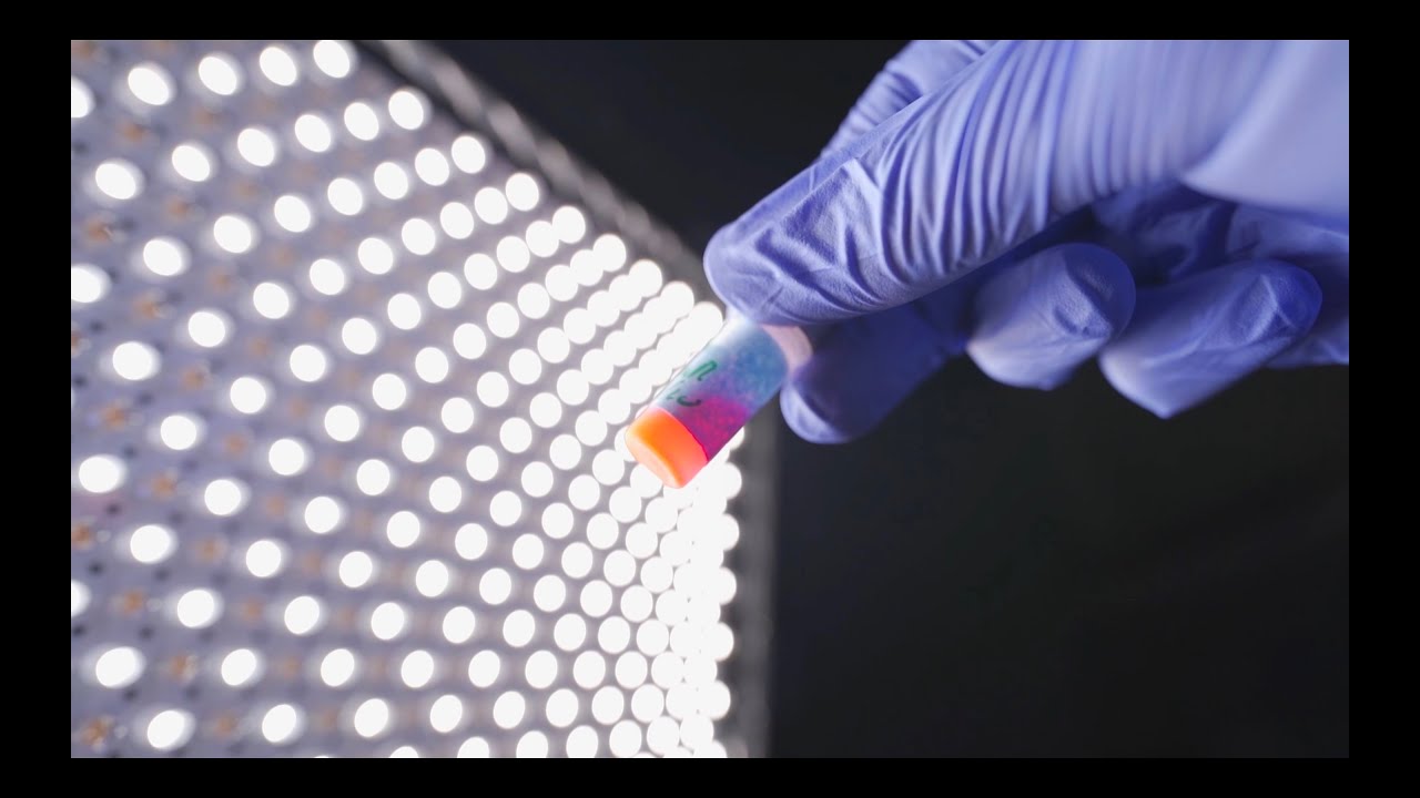 MaierLab's tweet card. Forgotten Data: the Leftovers of Science | Dati dimenticati: gli...