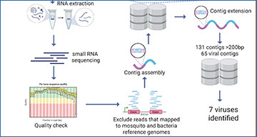 RNASeqBlog's tweet card. Virome profiling of Culex tarsalis through small RNA-seq