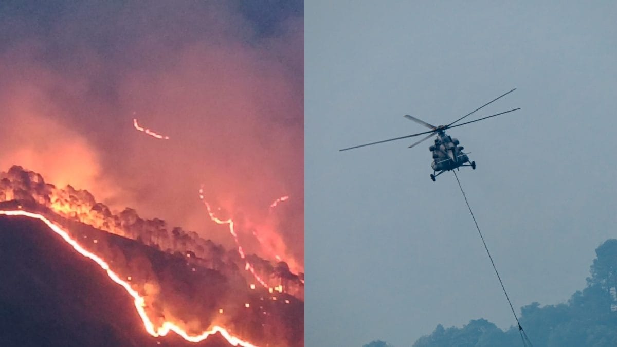 damyantsingh's tweet card. CM Pushkar Singh Dhami also conducted an aerial survey of the damage caused by the forest fires in Nainital on Saturday