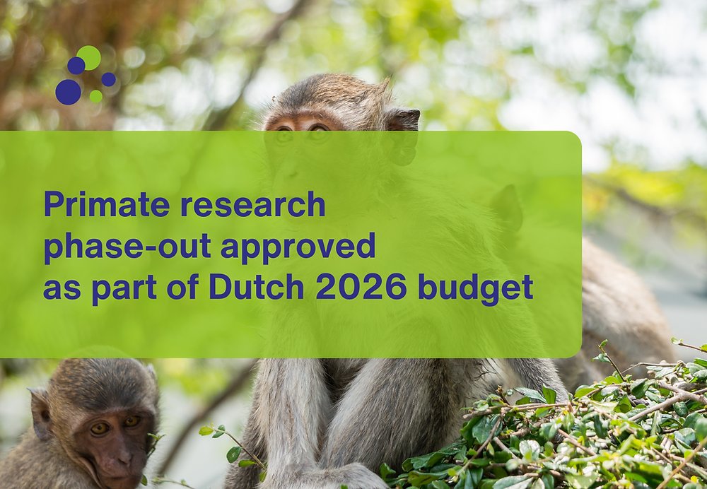 EARA_HU's tweet card. The Dutch Senate has approved the 2026 budget for Education and Science, including a controversial amendment that will end public funding for primate research at the Biomedical Primate Research...