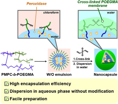 AkifumiKawamura's tweet card. Water-in-oil emulsions containing peroxidase (POx) in water droplets are prepared using the water-soluble block copolymer emulsifier, poly(2-methacryloyloxyethyl phosphorylcholine)-block-poly[oligo...