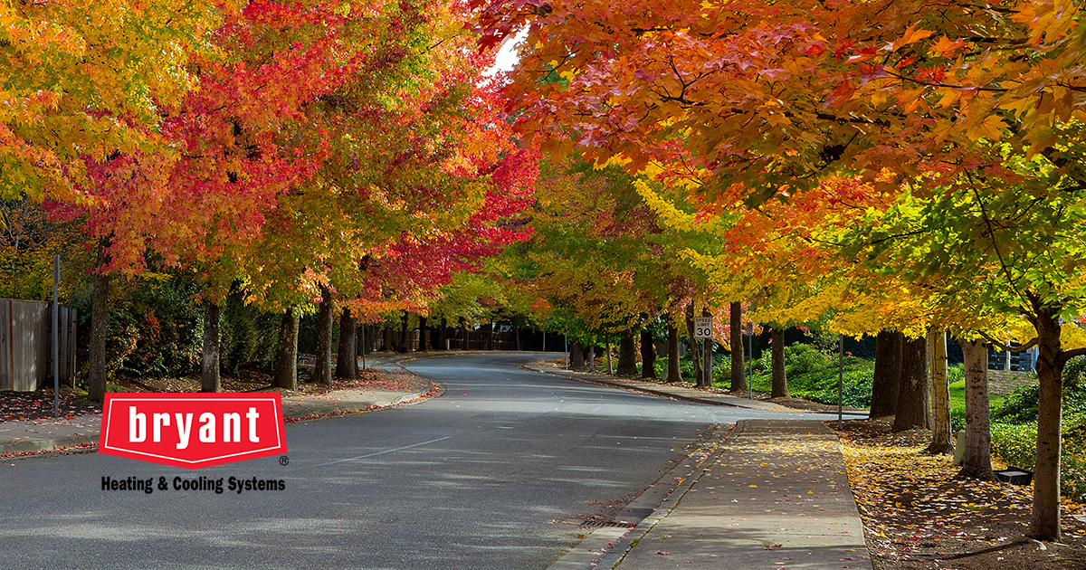 Advhtginc's tweet card. Swapping your air filter keeps your home feeling fresh, your air cleaner, and your Bryant system ready to deliver cozy comfort all season long. #BryantPromo