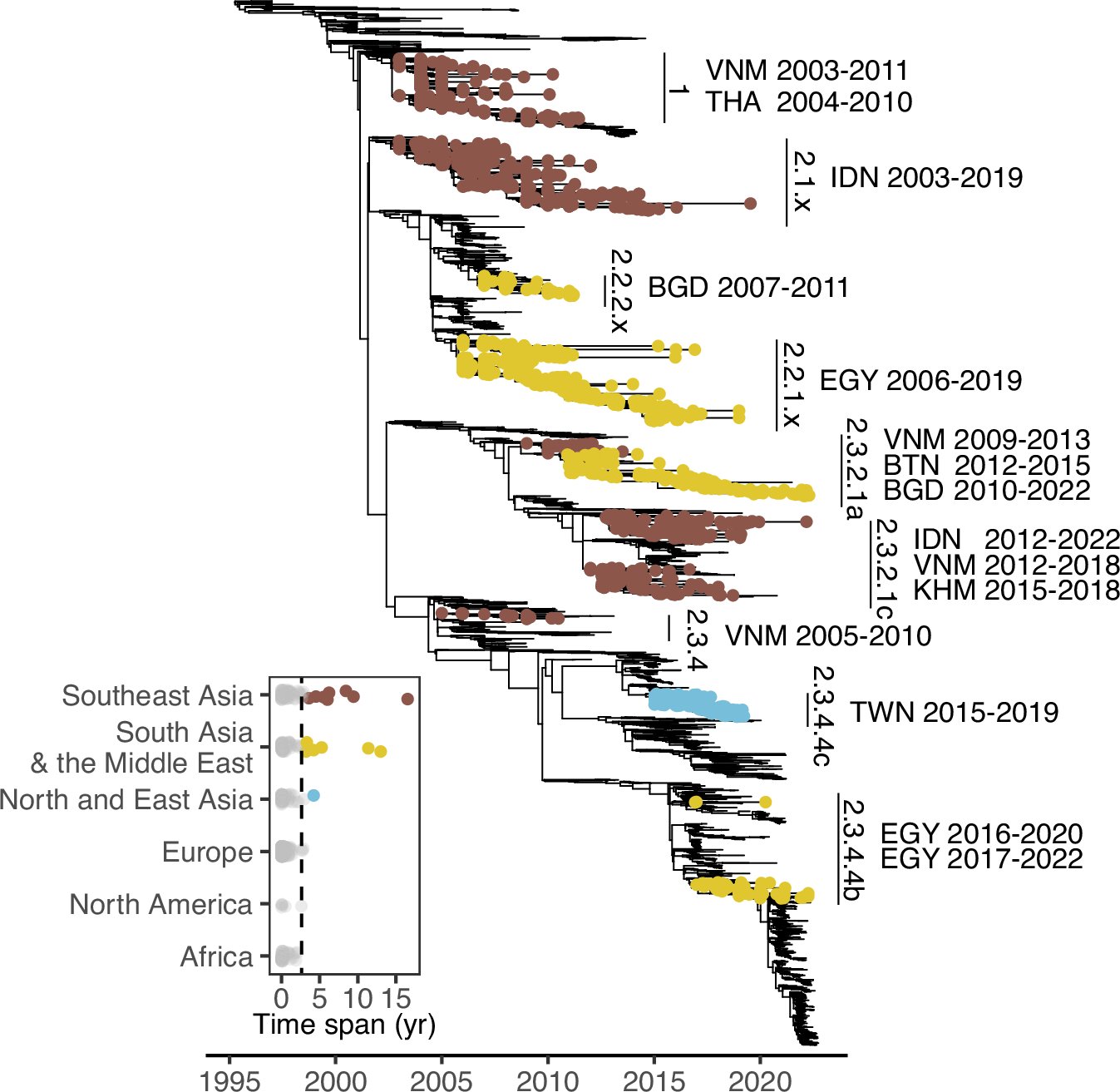 EVirusBioinfC's tweet card. Nature Communications - Highly pathogenic H5 avian influenza viruses of the A/Goose/Guangdong/96-like lineage spread globally and have become endemic in some locations. Here, the authors perform...