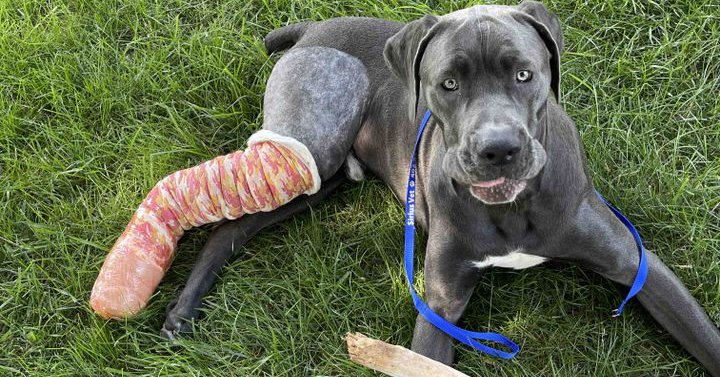 Tweet card summary image