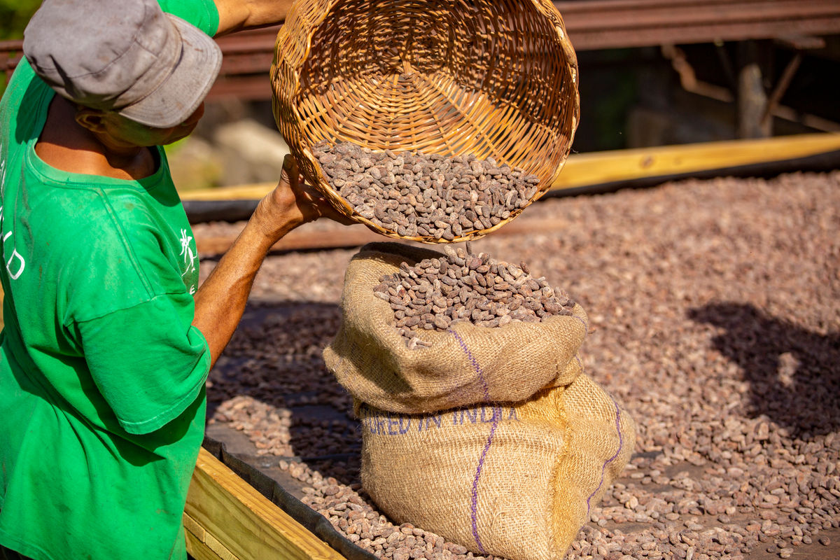 ANSECHASTANET's tweet card. Clients seeking an indulgent vacation will find a tempting array of interesting activities throughout the region