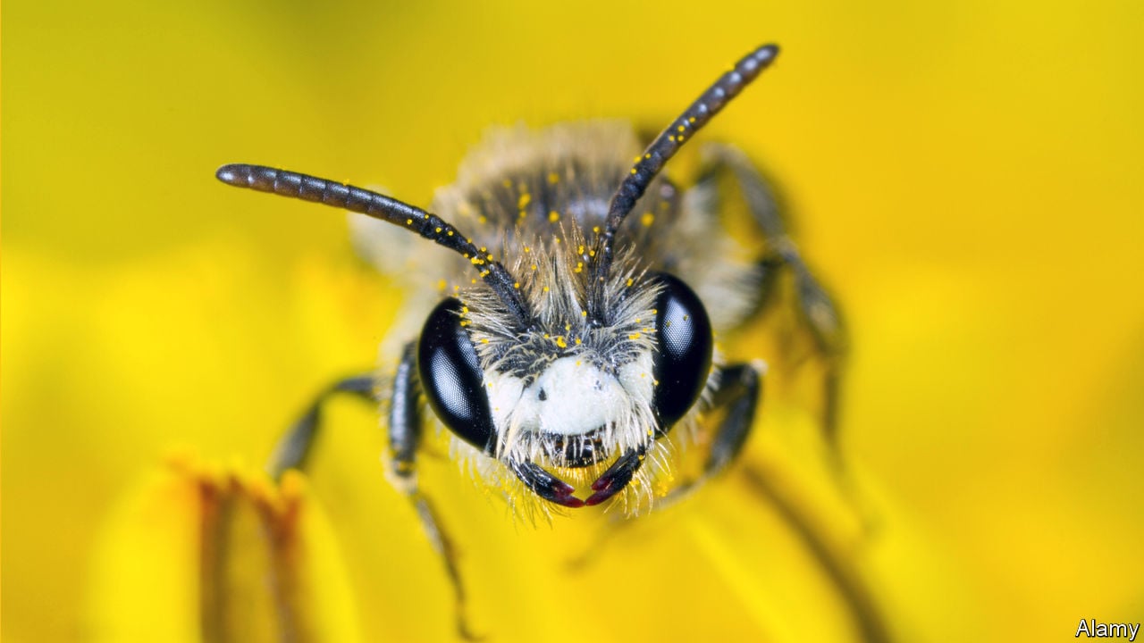 TheEconomist's tweet card. Their brilliant evolutionary strategy isn’t working so well in the modern world