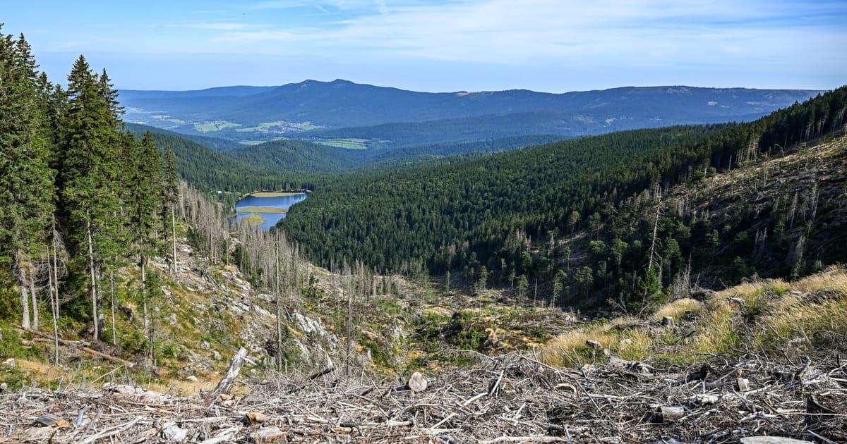 dimitrajon's tweet card. The surprise decision follows a string of unexpected changes to the EU’s main tool to end deforestation.