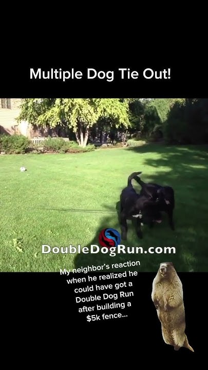 2DogsNoTangles's tweet card. Neighbor’s reaction after spending tons of money on a fence for his...
