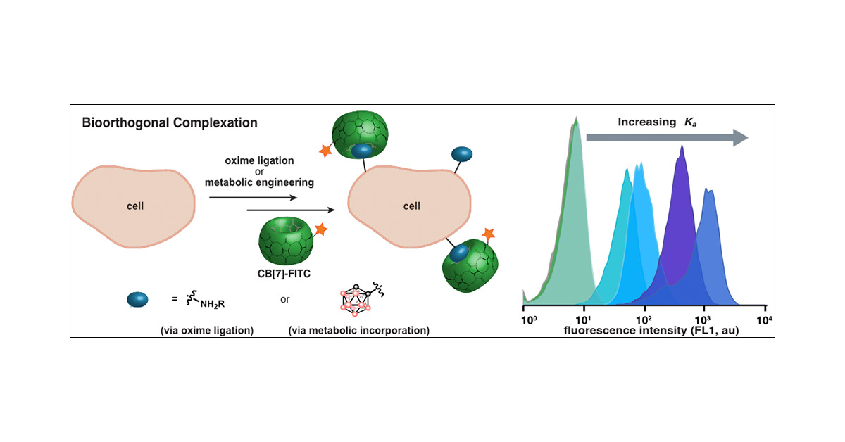slettengroup's tweet card. The widespread adoption of the bioorthogonal chemical reporter strategy revolutionized chemical biology. However, its translation to living mammals has been challenging, due to the size/stability...