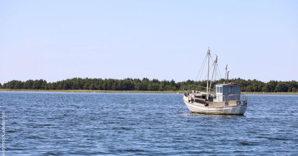 Image for twitter card